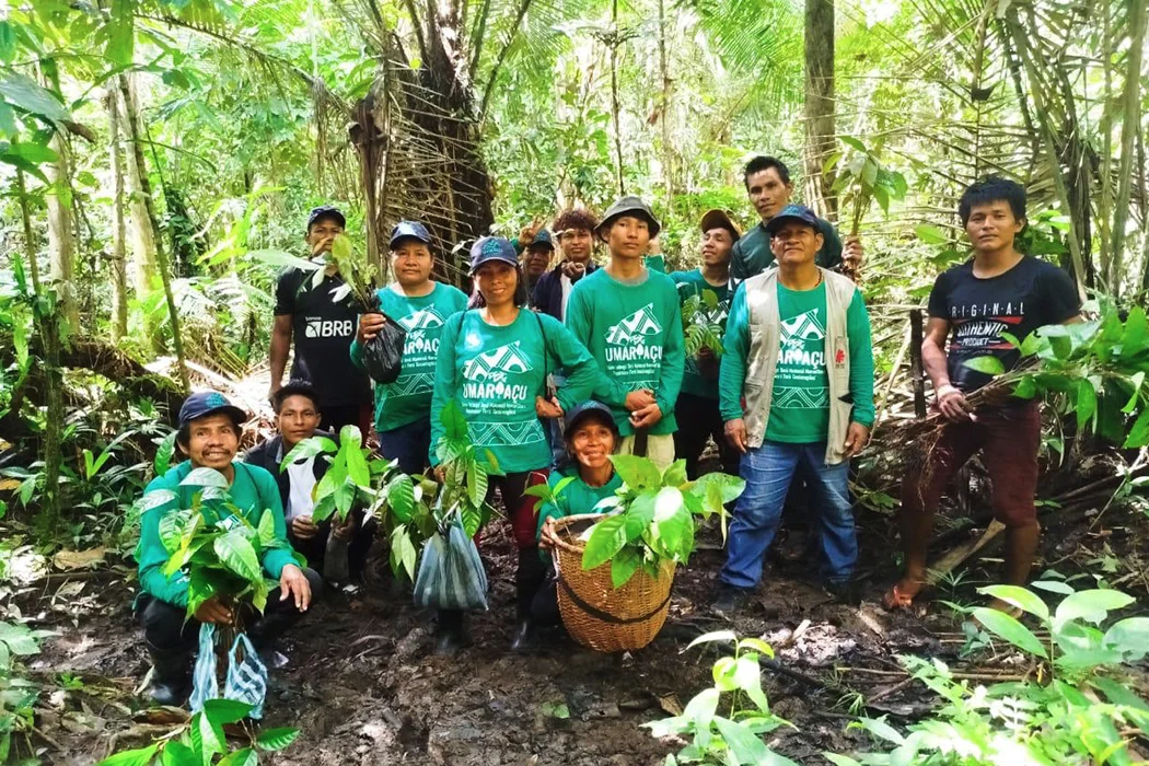 Projeto Floresta+ Amazônia — COMUNIDADES