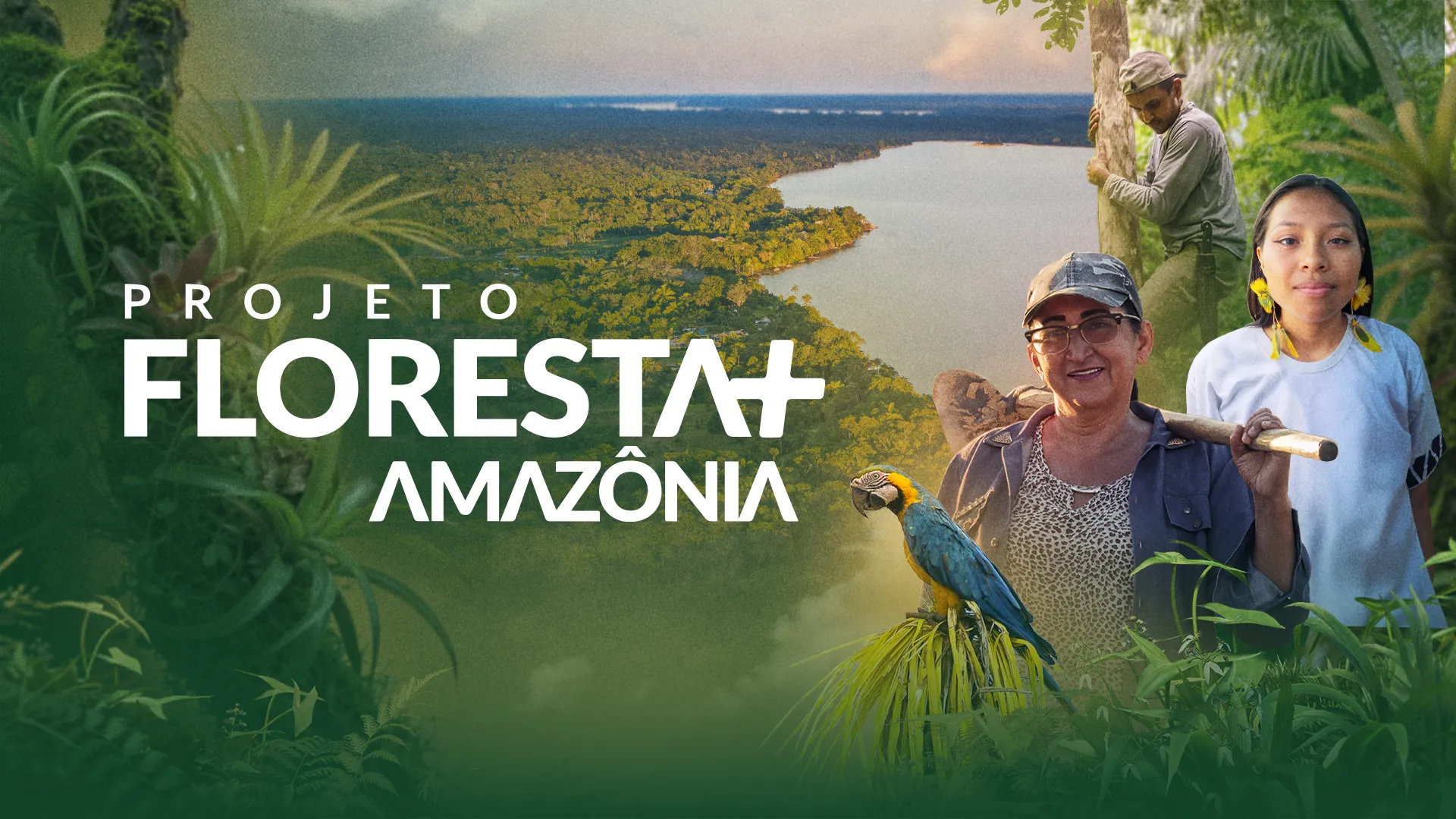 Floresta+ Amazônia — Programa Nacional de Pago por Servicios Ambientales de Brasil