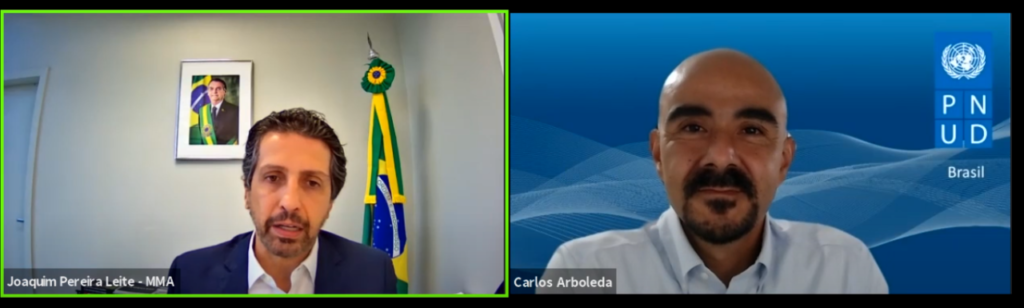 Conheça o Projeto Floresta+ Amazônia