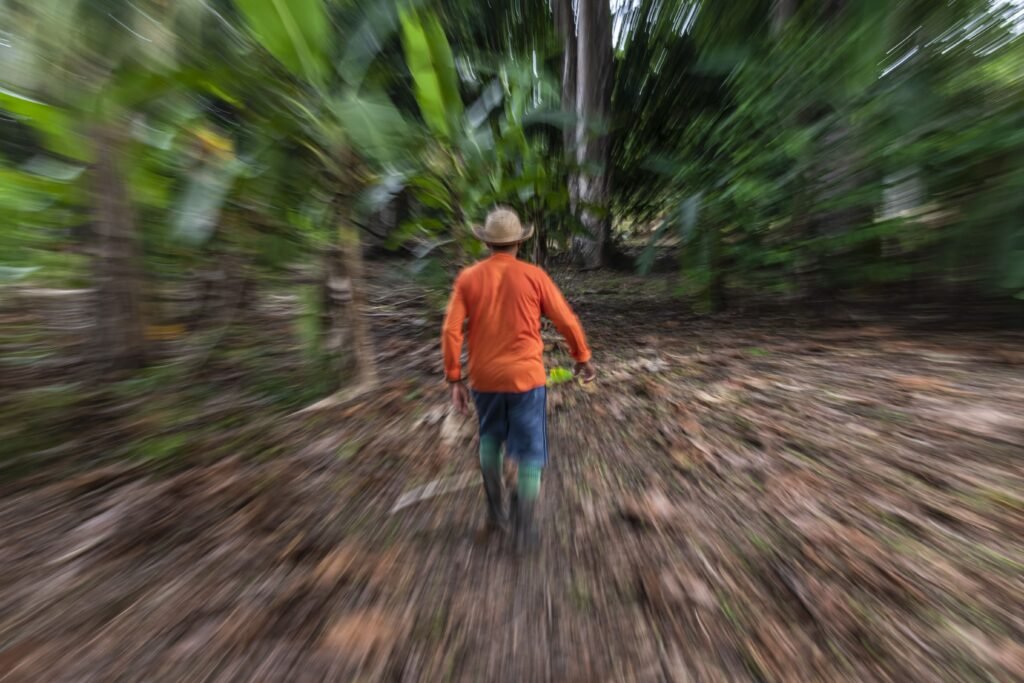 Equipe do Projeto Floresta+ Amazônia é capacitada sobre a análise e validação do CAR no Pará e cadastra interessados na Modalidade Conservação