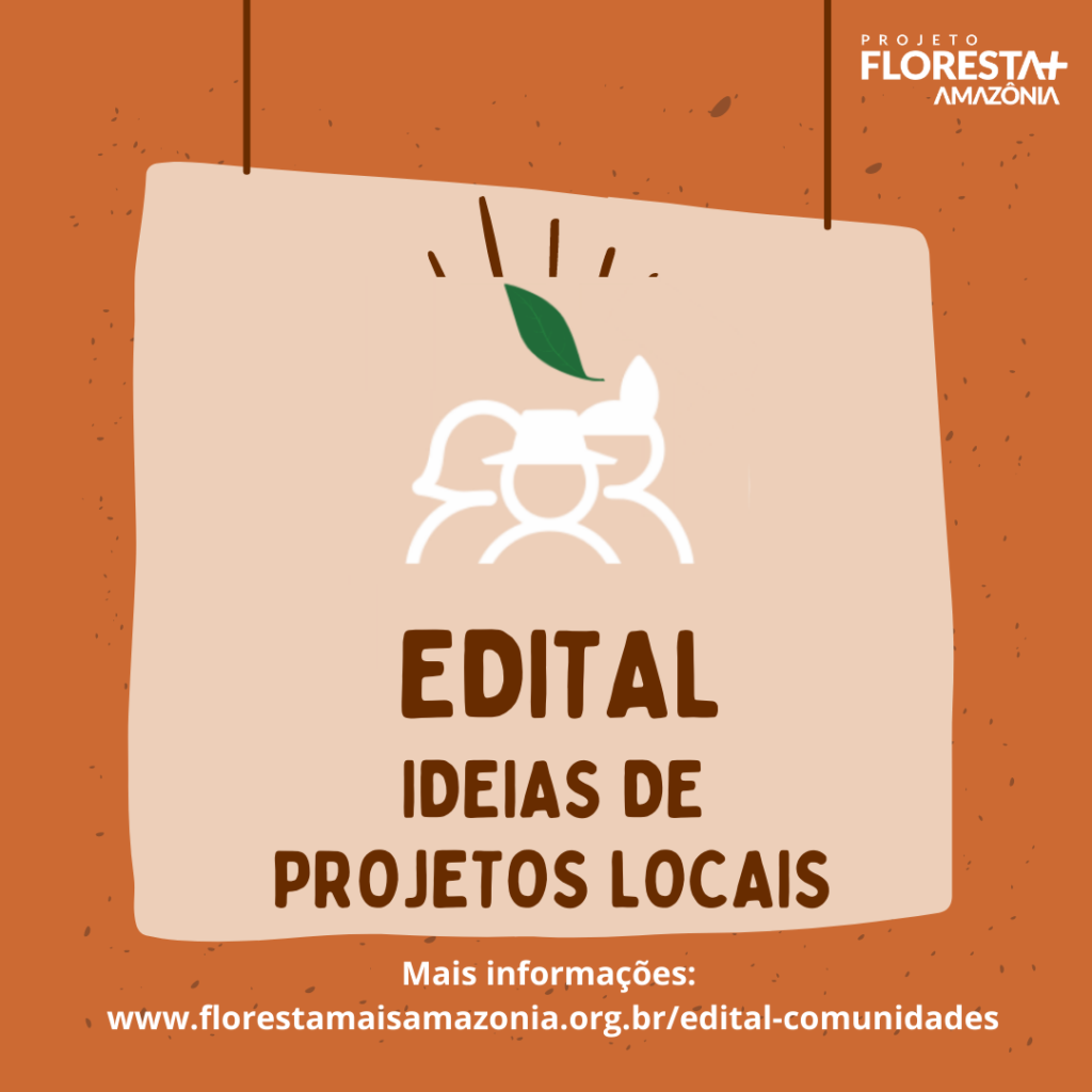MMA e PNUD lançam edital para selecionar ideias de projetos locais  