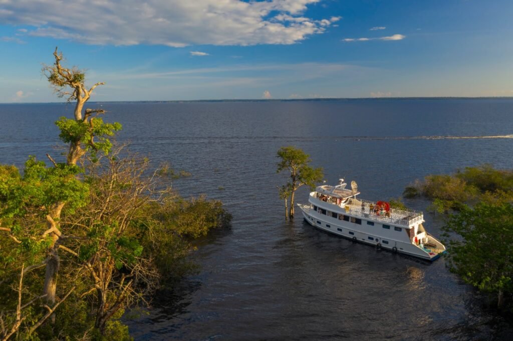 Em Manaus, MMA e PNUD apresentam o Projeto Floresta+ Amazônia para parceiros e potenciais beneficiários