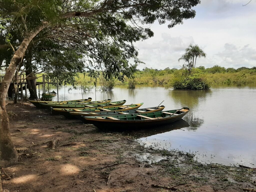Edital de Instituições Parceiras do Floresta+ Comunidades tem prazo prorrogado para o dia 17 de junho
