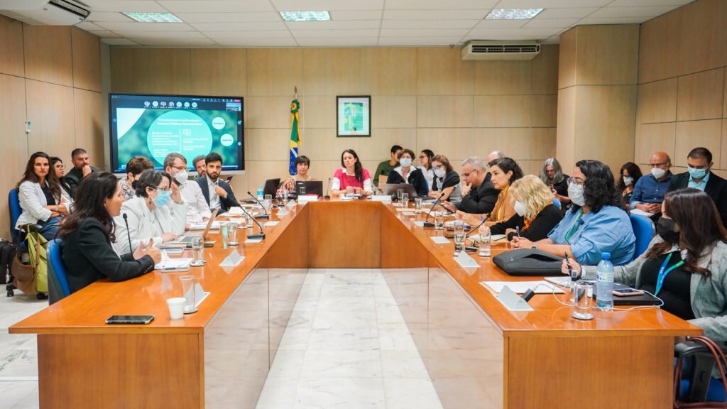 <strong>MMA e representantes de estados do bioma Cerrado discutem regras de acesso a recursos de pagamentos por resultados de REDD+</strong>&nbsp;