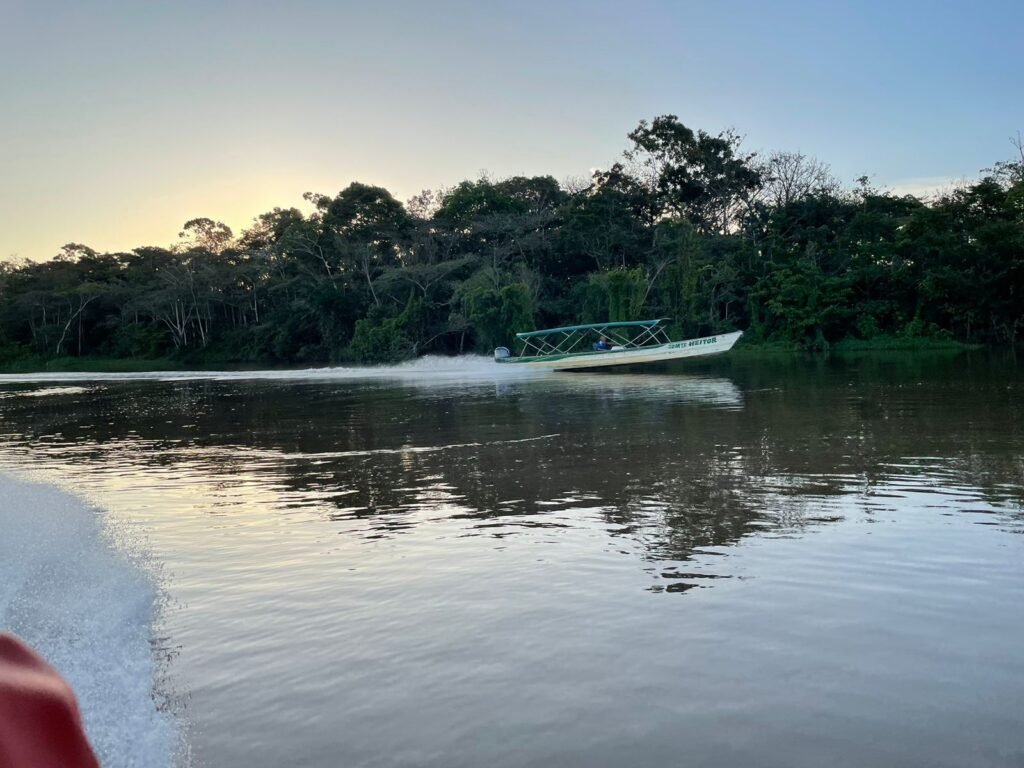 No Dia da Amazônia, o Projeto Floresta+ reforça sua atuação na conservação e valorização da sociobiodiversidade nos territórios amazônicos