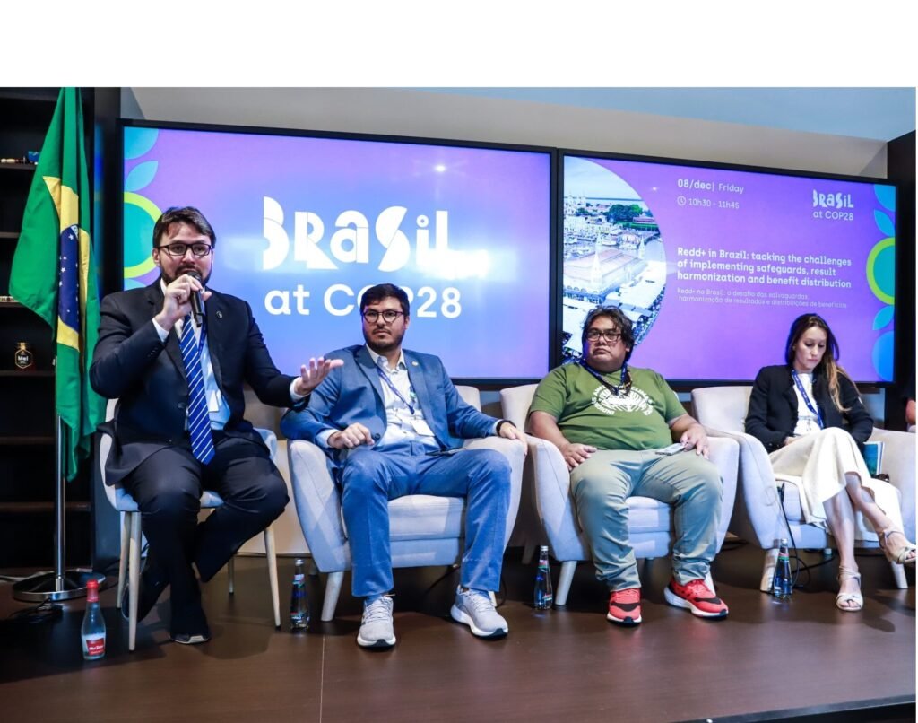 Desmatamento zero: REDD+ foi pauta central na COP28 em Dubai