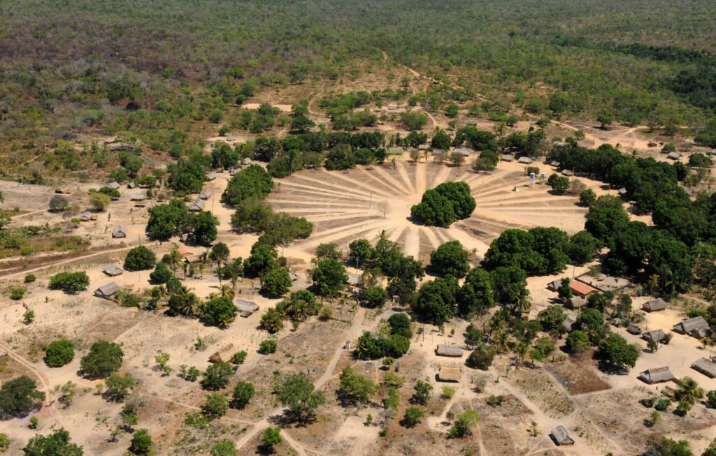 Projeto Floresta+ Amazônia divulga projetos selecionados no Ciclo 2  