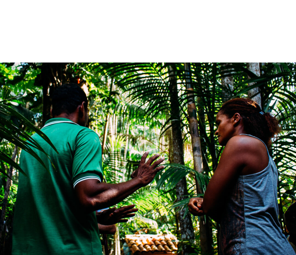 Amazonas promove treinamento para a regularização ambiental