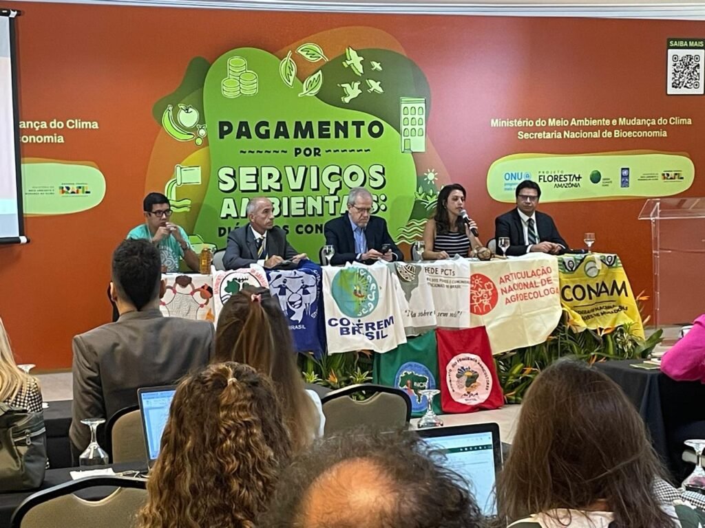 Projeto Floresta+ Amazônia colabora com o avanço da política de serviços ambientais no Brasil