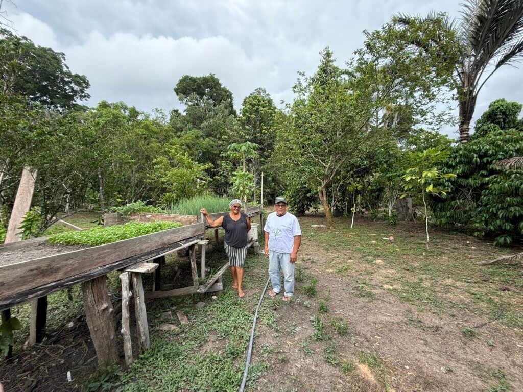 Do sonho em ter a floresta em pé a guardião da Amazônia: conheça a história de Manoel Ferreira, agricultor e beneficiário do Projeto Floresta+ Amazônia