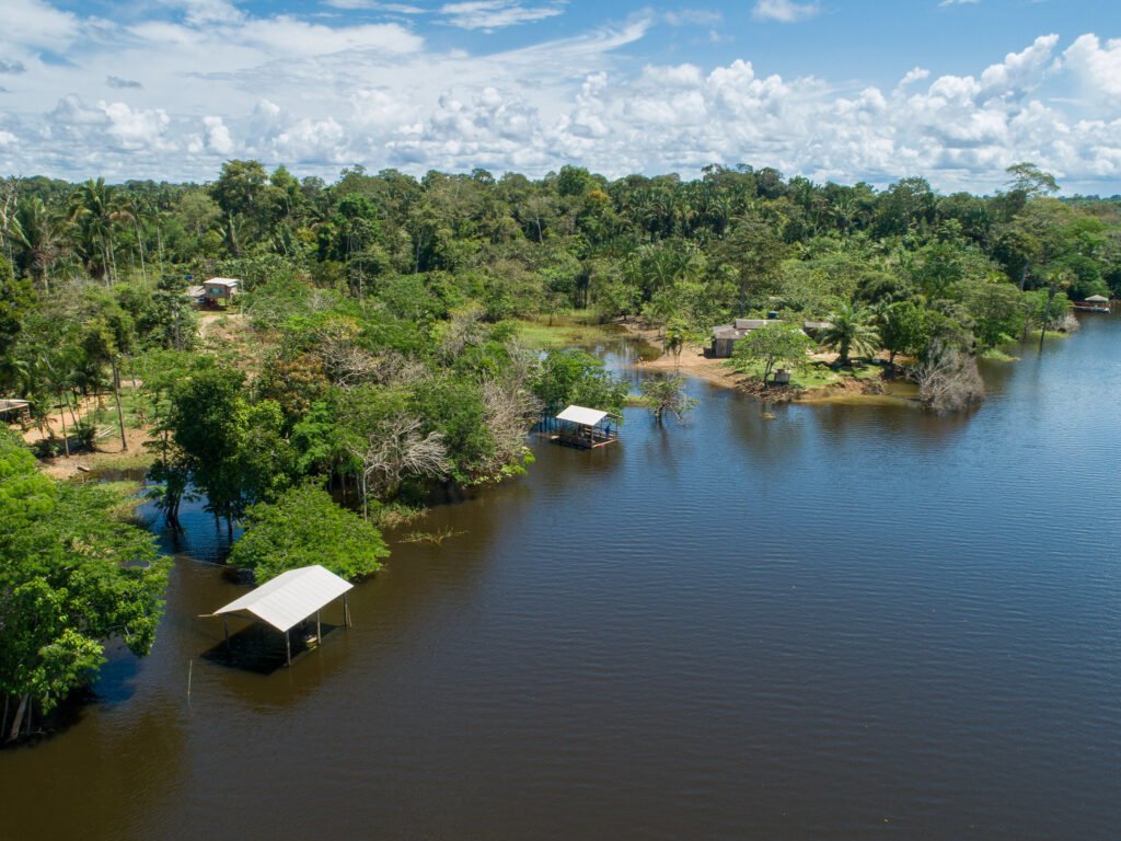 Floresta+ Amazônia lança edital para fortalecer capacidades produtivas de organizações comunitárias