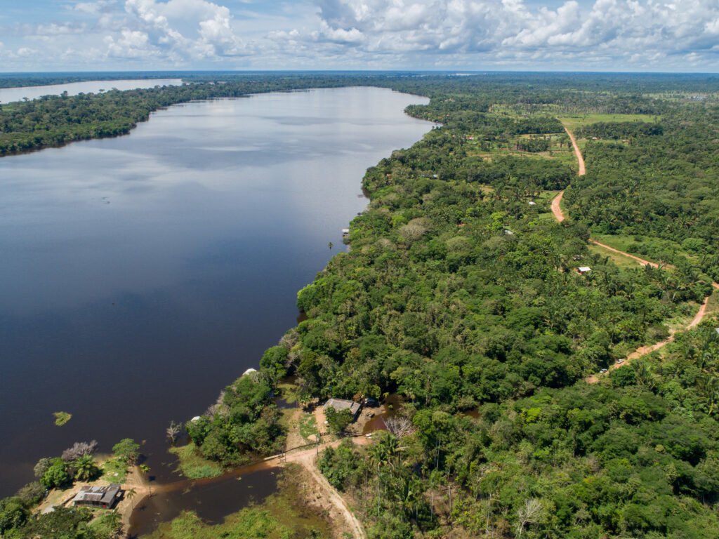 Floresta+ apoia desenvolvimento de plataforma integrada de geoinformações para o desmatamento zero na Amazônia
