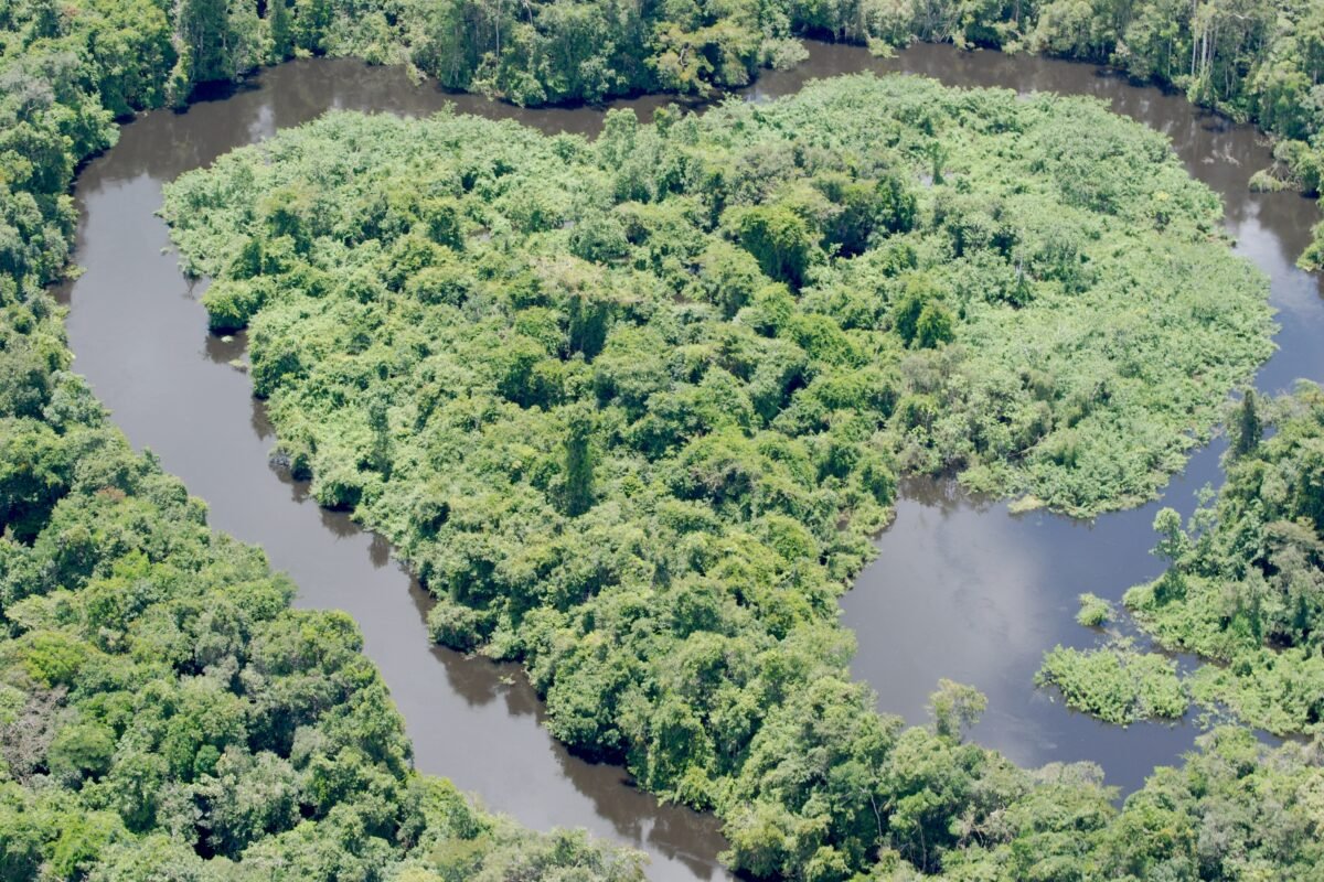 Governo do Brasil lança chamada pública para reconhecer povos e comunidades tradicionais que conservam a floresta na Amazônia